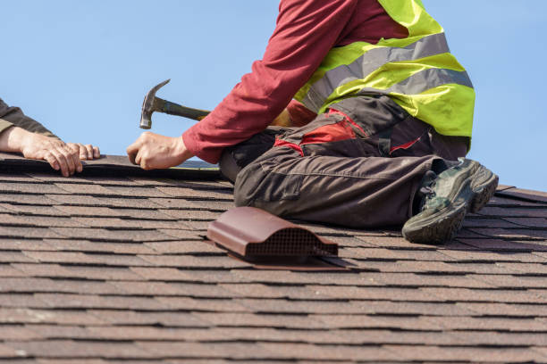 Best Roof Waterproofing Services  in Harlem, FL