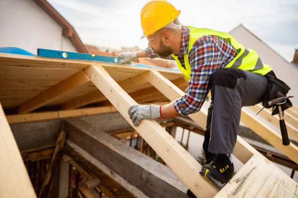 Best Roof Gutter Cleaning  in Harlem, FL