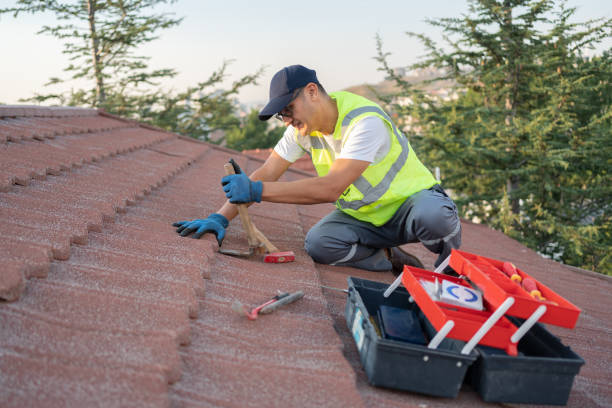 Best Commercial Roofing Services  in Harlem, FL