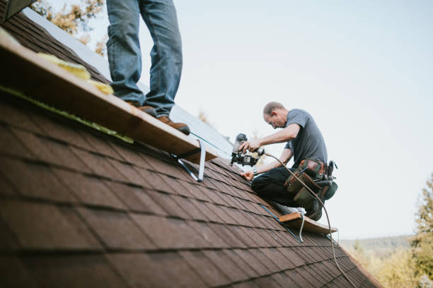 Gutter Installation and Roofing in Harlem, FL