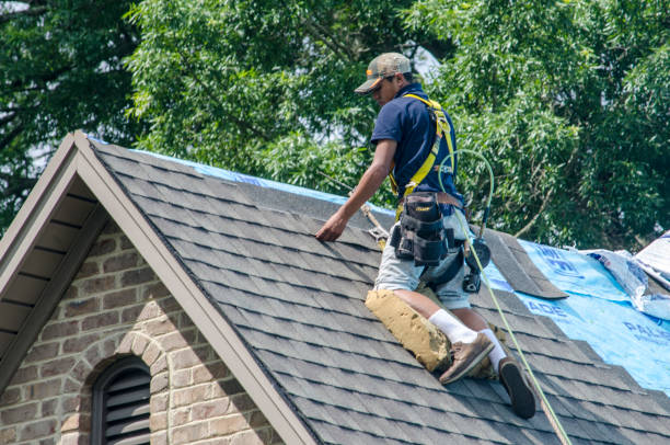 Best Commercial Roofing Services  in Harlem, FL